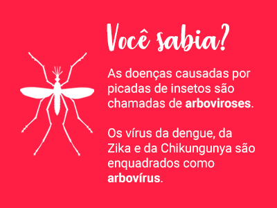 O Que é Dengue Zika E Chikungunya